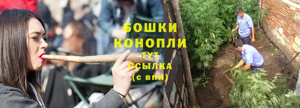 PSILOCYBIN Нея