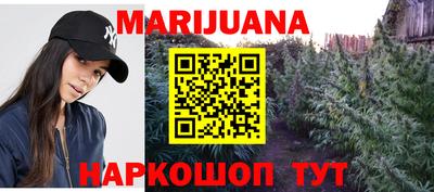 прущие грибы Гатчина