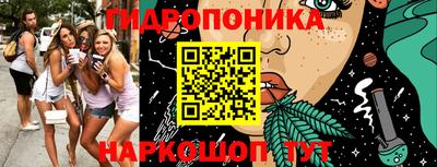 шишки Азнакаево