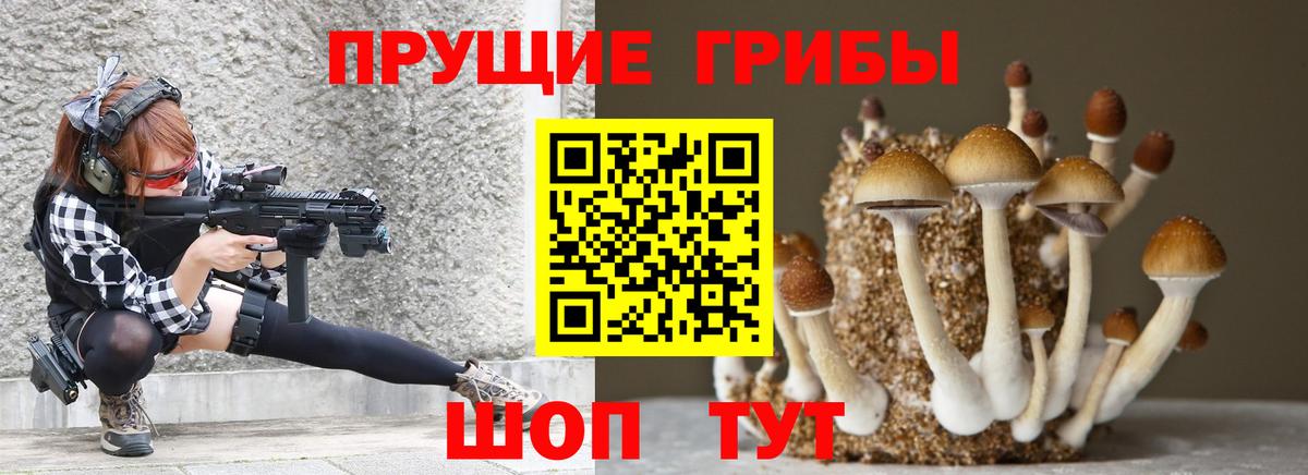 Псилоцибиновые грибы мухоморы Апатиты