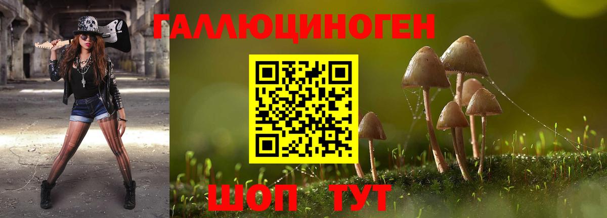Галлюциногенные грибы Psilocybine cubensis  Вход с VPN  Апатиты 